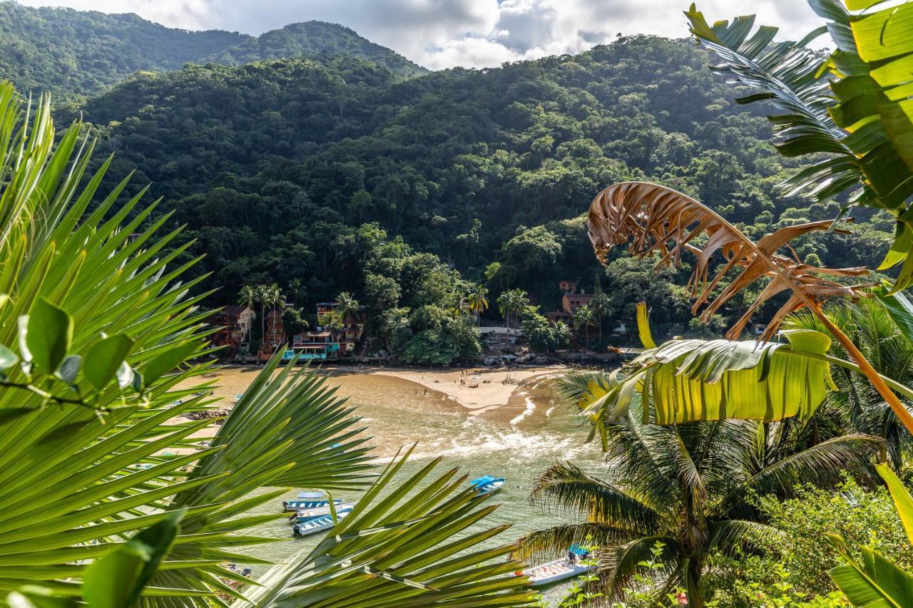 Pv South Shore Luxury Suites And Villa For Rent Puerto Vallarta Eksteriør billede